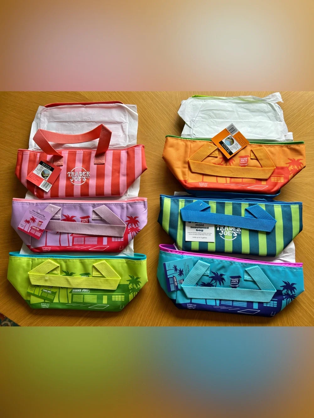 Trader Joe's Reusable Insulated Tote - Multi Color Set of 6 from Spring 2026